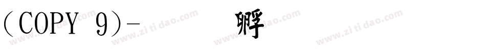 (COPY 9)字体转换
